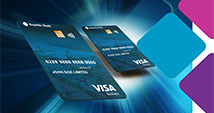 Republic Business Visa Credit Card